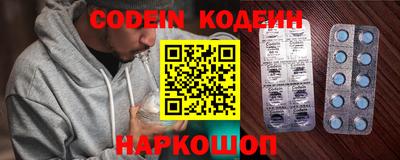 индика Кингисепп