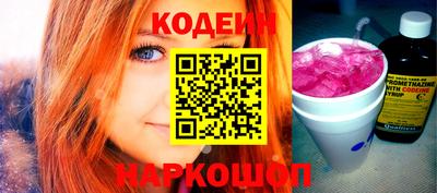 индика Кингисепп