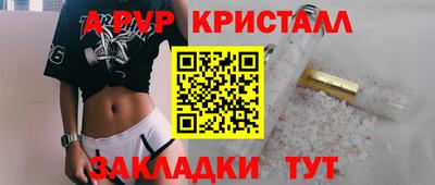 индика Кингисепп