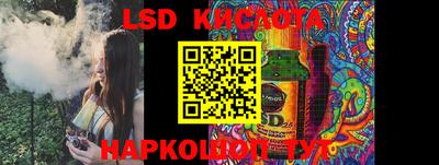 индика Кингисепп