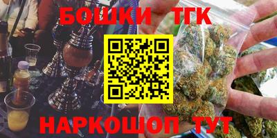 индика Кингисепп