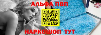 индика Кингисепп