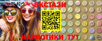 индика Кингисепп