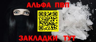 индика Кингисепп