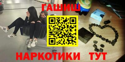 индика Кингисепп