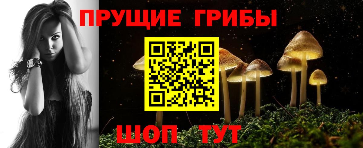 Галлюциногенные грибы ЛСД  Псилоцибиновые грибы GOLDEN TEACHER  Вход с VPN  Клинцы 