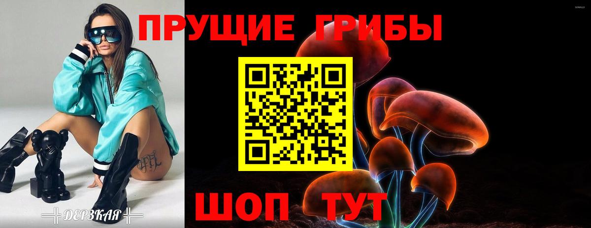 Галлюциногенные грибы Cubensis Клинцы