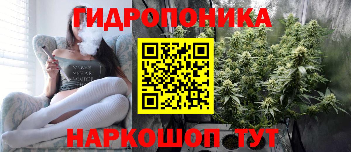 Клинцы  Марихуана план  Вход с VPN  Бошки Шишки THC 21%  Конопля индика  Канабис гибрид 